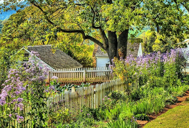 6 ways to have a more eco-friendly garden
