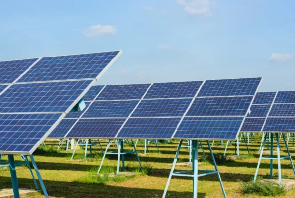 Solar farm ground screw foundation